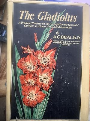 The Gladiolus And It's Culture How To Propagate, Grow And Handle Gladioli Outdoors And Under Glass