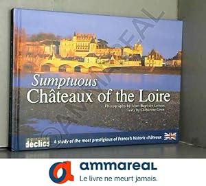 Seller image for Sumptuous Chteaux of the Loire for sale by Ammareal