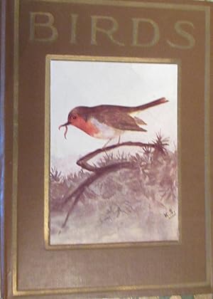 Seller image for BIRDS for sale by Quathlamba Winds Books