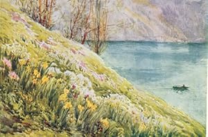 Spring Flowers by the Lake of Lucerne,1907 colored swiss print