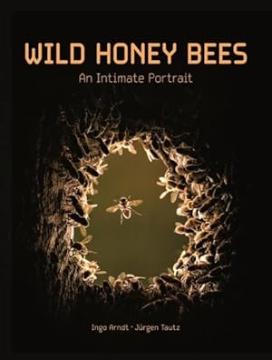 Bild des Verkufers fr Wild Honey Bees : An Intimate Portrait zum Verkauf von GreatBookPricesUK