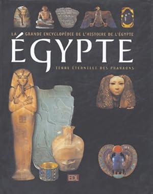 Egypte : 5000 ans d'histoire terre ?ternelle des pharaons - Collectif