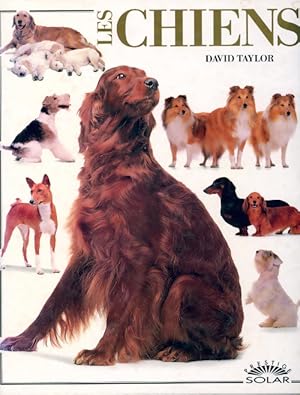 Les chiens - David Taylor