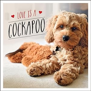 Bild des Verkufers fr Love Is a Cockapoo: A Dog-Tastic Celebration of the World\ s Cutest Breed zum Verkauf von moluna