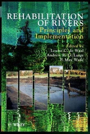 Image du vendeur pour Rehabilitation of Rivers mis en vente par moluna