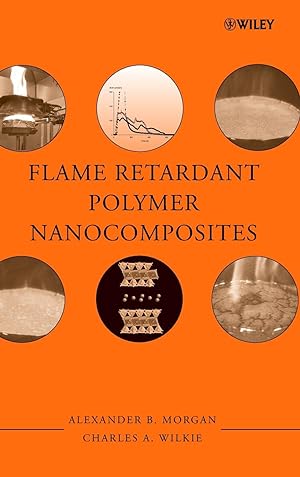 Bild des Verkufers fr Flame Retardant Polymer Nanocomposites zum Verkauf von moluna