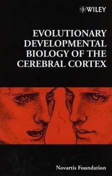 Bild des Verkufers fr Evolutionary Developmental Biology of the Cerebral Cortex zum Verkauf von moluna