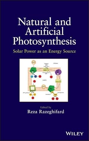 Seller image for Natural and Artificial Photosynthesis for sale by moluna