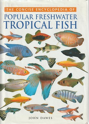 Popular Freshwater Tropical Fish