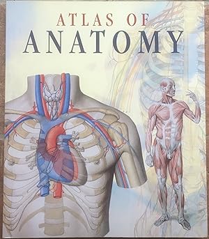 Seller image for Atlas of Hman Anatomy for sale by The Glass Key