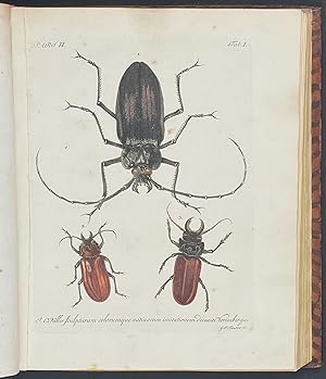 Johann Eusebius Voet's Catalogus Systematicus Coleopterorumâ ¦ - Volume with 50 Beetle Engravings