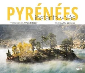 Seller image for Pyrenes instants vols for sale by Chapitre.com : livres et presse ancienne
