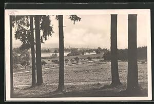 Ansichtskarte Landskron i. B., Stadtbild am Nadelwald