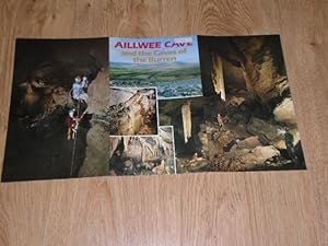 Seller image for Ailwee Cave and the Caves of the Burren The Irish Heritage Series: 43 for sale by Dublin Bookbrowsers