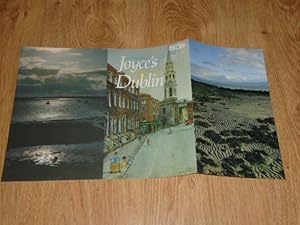 Seller image for Joyce's Dublin The Irish Heritage Series: 35 for sale by Dublin Bookbrowsers