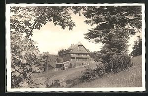 Ansichtskarte Neu-Traubendorf /Jawornikgebirge, Berghotel Portasch