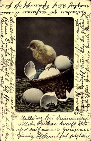 Ansichtskarte / Postkarte Küken mit Eierschalen im Osternest