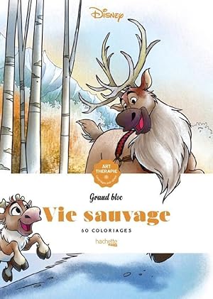 art-thérapie ; grand bloc : Disney : vie sauvage