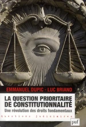 la question prioritaire de constitutionnalité ; une révolution des droits fondamentaux