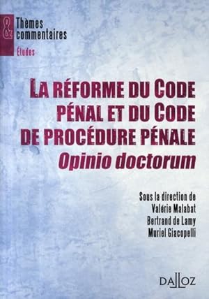 La réforme du Code pénal et du Code de procédure pénale, Opinio doctorum