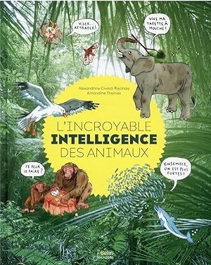 l'incroyable intelligence des animaux