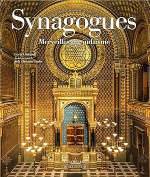 synagogues : merveilles du judaïsme