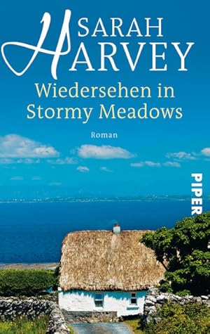 Bild des Verkufers fr Wiedersehen in Stormy Meadows: Roman zum Verkauf von Versandantiquariat Felix Mcke