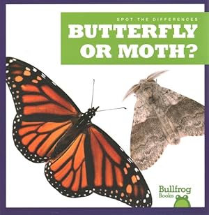 Seller image for Butterfly or Moth? for sale by GreatBookPrices