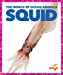 Seller image for Squid (Pogo Books: The World of Ocean Animals) [Soft Cover ] for sale by booksXpress