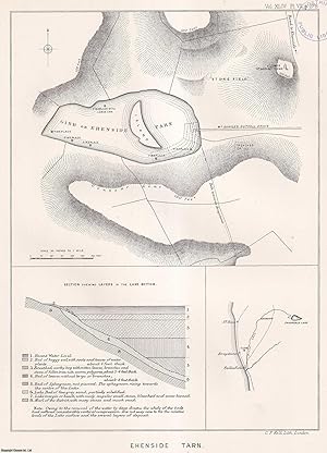 Seller image for Notes on Discoveries in Ehenside Tarn, Cumberland. An uncommon original article from the journal Archaeologia, 1873. for sale by Cosmo Books