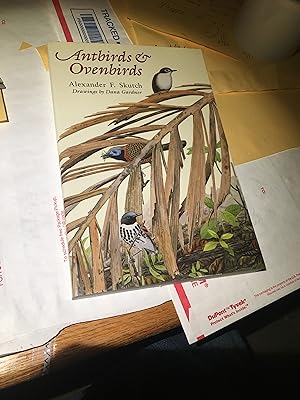 Seller image for Antbirds and Ovenbirds: Their Lives and Homes (Corrie Herring Hooks Series) for sale by Bristlecone Books  RMABA