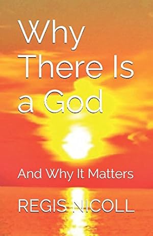 Immagine del venditore per Why There Is a God: And Why It Matters venduto da WeBuyBooks