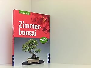 Zimmerbonsai