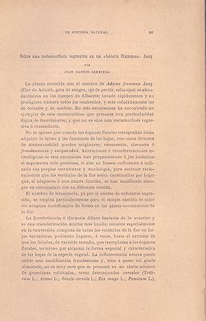 Imagen del vendedor de SOBRE UNA METAMORFOSIS REGRESIVA EN UN "ADINIS FLAMMEA" JACQ. (EXTRAIDO ORIGINAL DEL AO 1911, ESTUDIO COMPLETO TEXTO INTEGRO) a la venta por Libreria 7 Soles