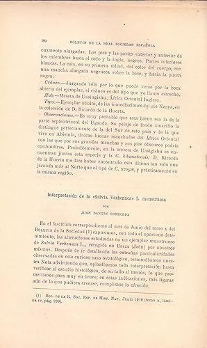 Imagen del vendedor de INTERPRETACION DE LA "SALVIA VERBENACA" L. MONSTRUOSA (EXTRAIDO ORIGINAL DEL AO 1911, ESTUDIO COMPLETO TEXTO INTEGRO) a la venta por Libreria 7 Soles