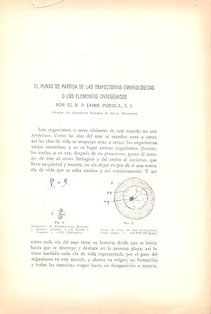 Imagen del vendedor de EL PUNTO DE PARTIDA DE LAS TRAYECTORIAS EMBRIOLOGICAS O LOS ELEMENTOS ONTOGENICOS (EXTRAIDO ORIGINAL DEL AO 1928, ESTUDIO COMPLETO TEXTO INTEGRO) a la venta por Libreria 7 Soles