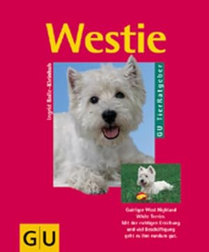 Westie: Quirliger West Highland White Terrier. Mit der richtigen Erziehung und viel Beschäftigung...