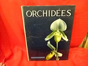 Imagen del vendedor de Charmes et diversit des orchides. a la venta por alphabets