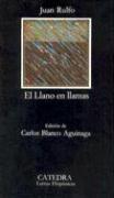 Seller image for EL LLANO EN ILAMAS for sale by Chapitre.com : livres et presse ancienne