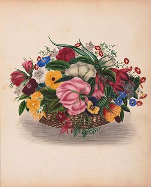 Circa 1900 Original Vintage Botanical Pansies Flower Lithograph Print Mounted /& Matted In A Choice Of Colours 10 x 8 Or 8 x 6