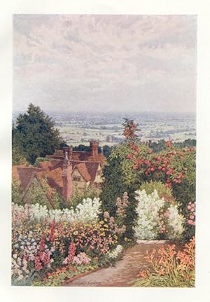 THE WEALD FROM THE DOCTOR'S GARDEN, SUTTON VALENCE IN KENT,1907 COLOUR VINTAGE ART PRINT