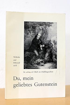 Bild des Verkufers fr Du, mein geliebtes Gutenstein. Ferdinand Raimund und Gutenstein zum Verkauf von AMSELBEIN - Antiquariat und Neubuch