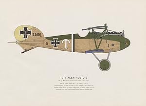 Albatros D-V (1917)
