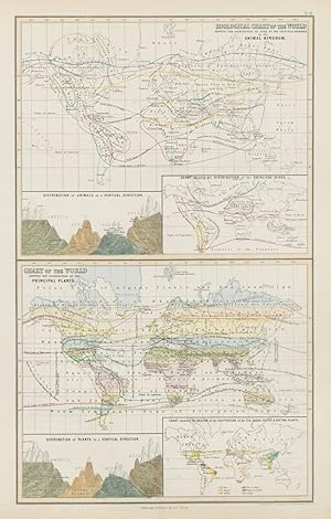 Zoological chart of the World shewing the distribution of some of the principal members of the an...