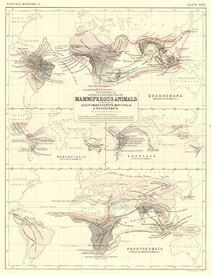 Geographical distribution of Mammiferous Animals of the orders Quadrumana (monkeys & makis), Eden...