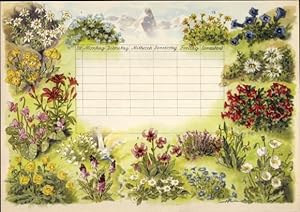 Stundenplan Künstler Herta, Blumen, Orchideen, Rosen, Sparkassen Verlag, um 1950