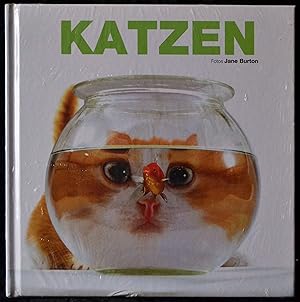 Katzen