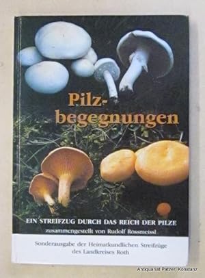 Bild des Verkufers fr Pilzbegegnungen. Ein Streifzug durch das Reich der Pilze. (Roth 1998). Mit zahlreichen, meist farbigen Abbildungen. 120 S. Farbiger Or.-Pp. zum Verkauf von Jrgen Patzer