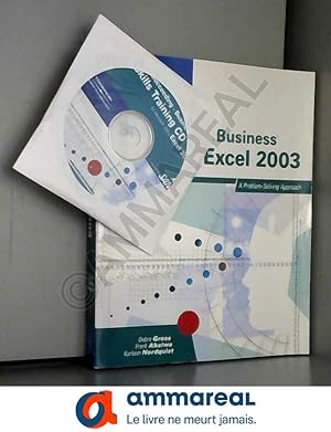 Seller image for Succeeding In Business With Microsoft Excel 2003: A Problem Solving Approach for sale by Ammareal