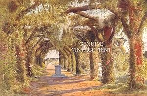 THE PERGOLA at SANDRINGHAM ,1912 Colour Bookplate Print With Tissue